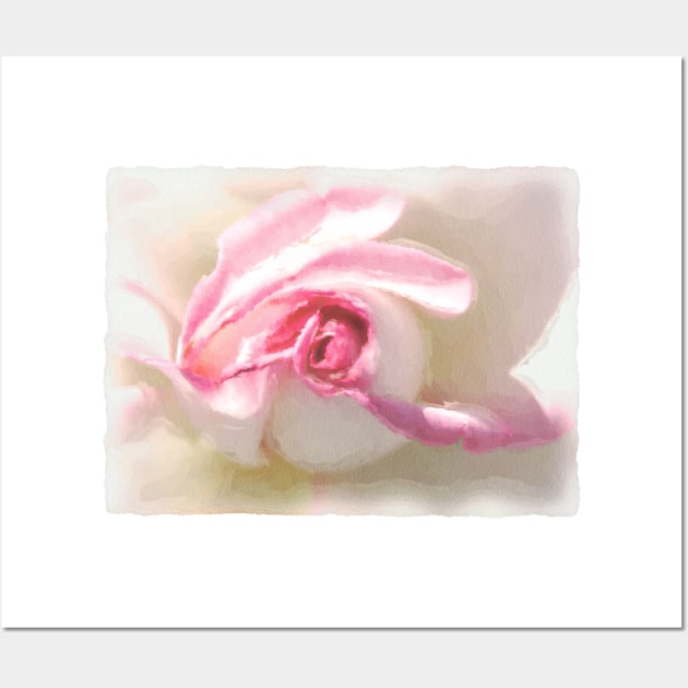 Peppermint rose Wall Art by DarlaHallmark